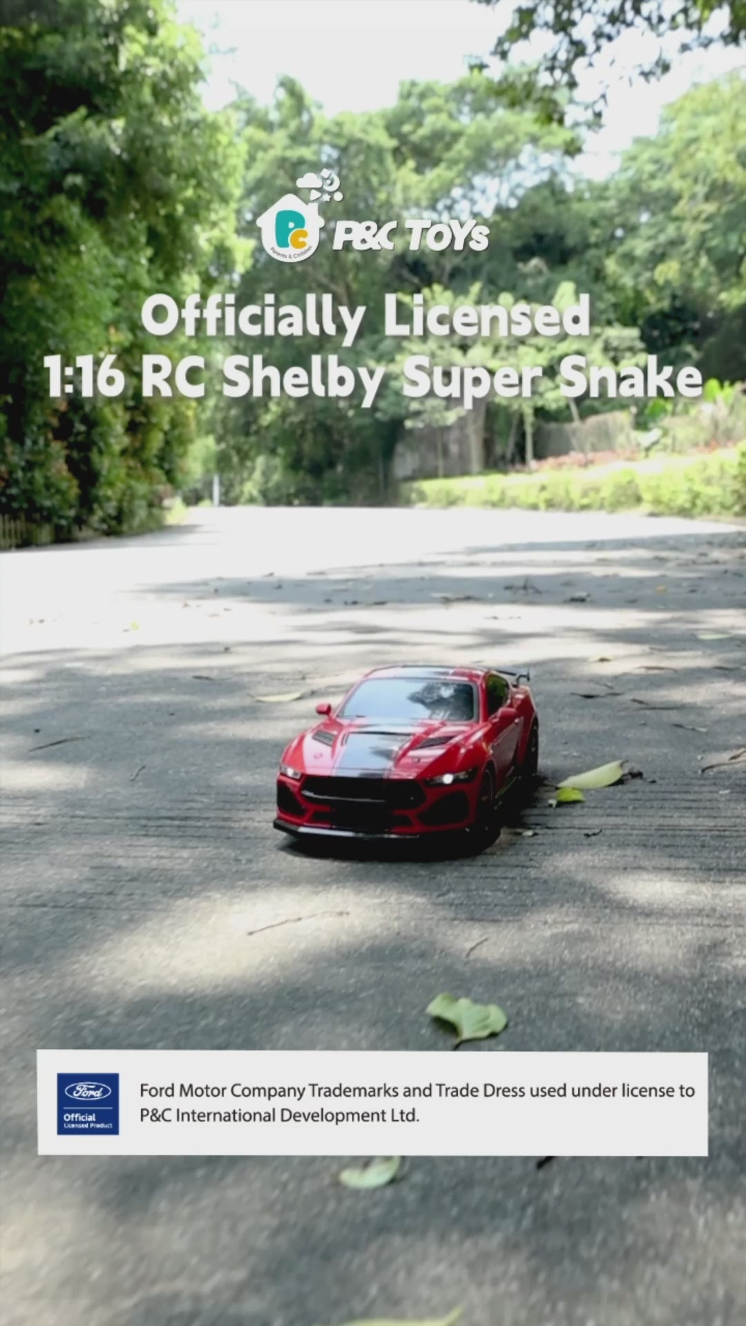 Officially Licensed 1:16 RC Shelby Super Snake