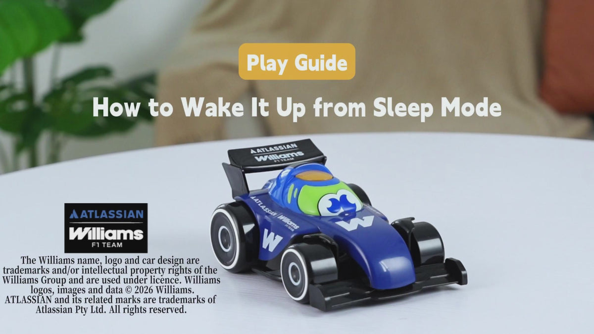 Officially Licensed Williams F1 Cartoon RC