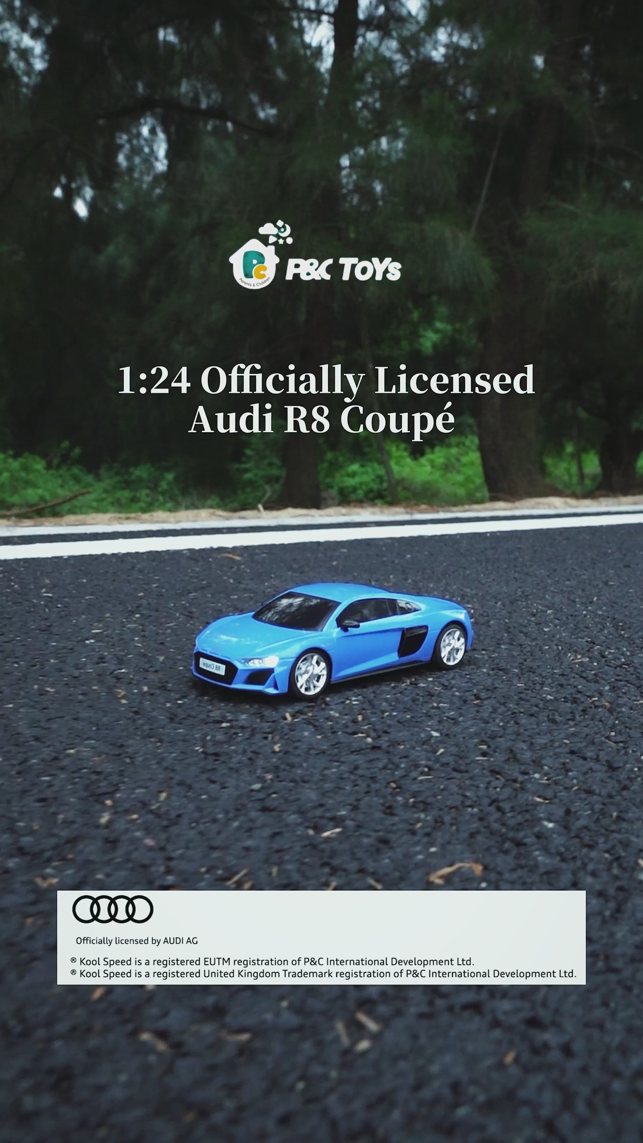 Officially Licensed 1:24 RC Audi R8 RC Car